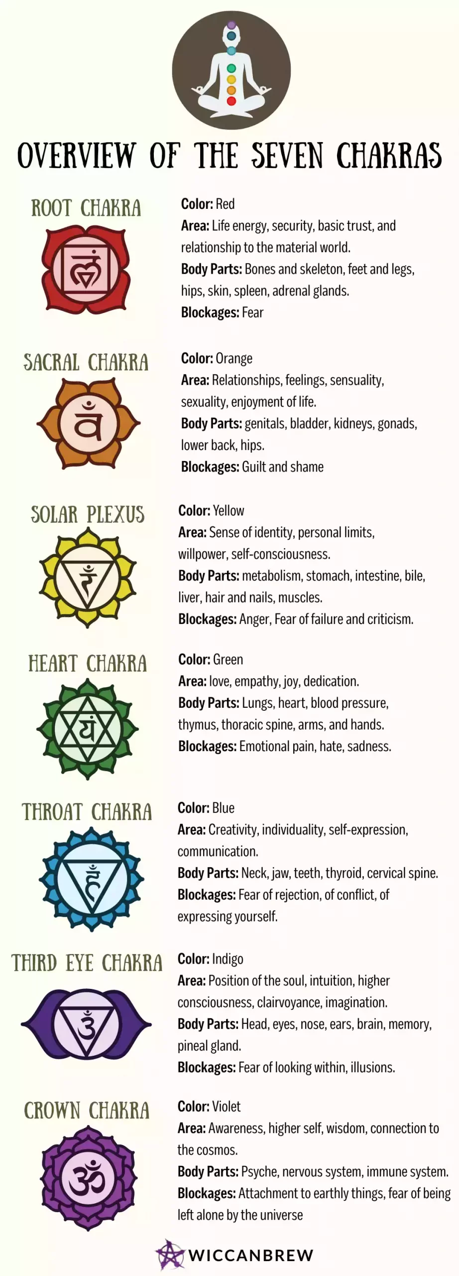 Chakras Overview